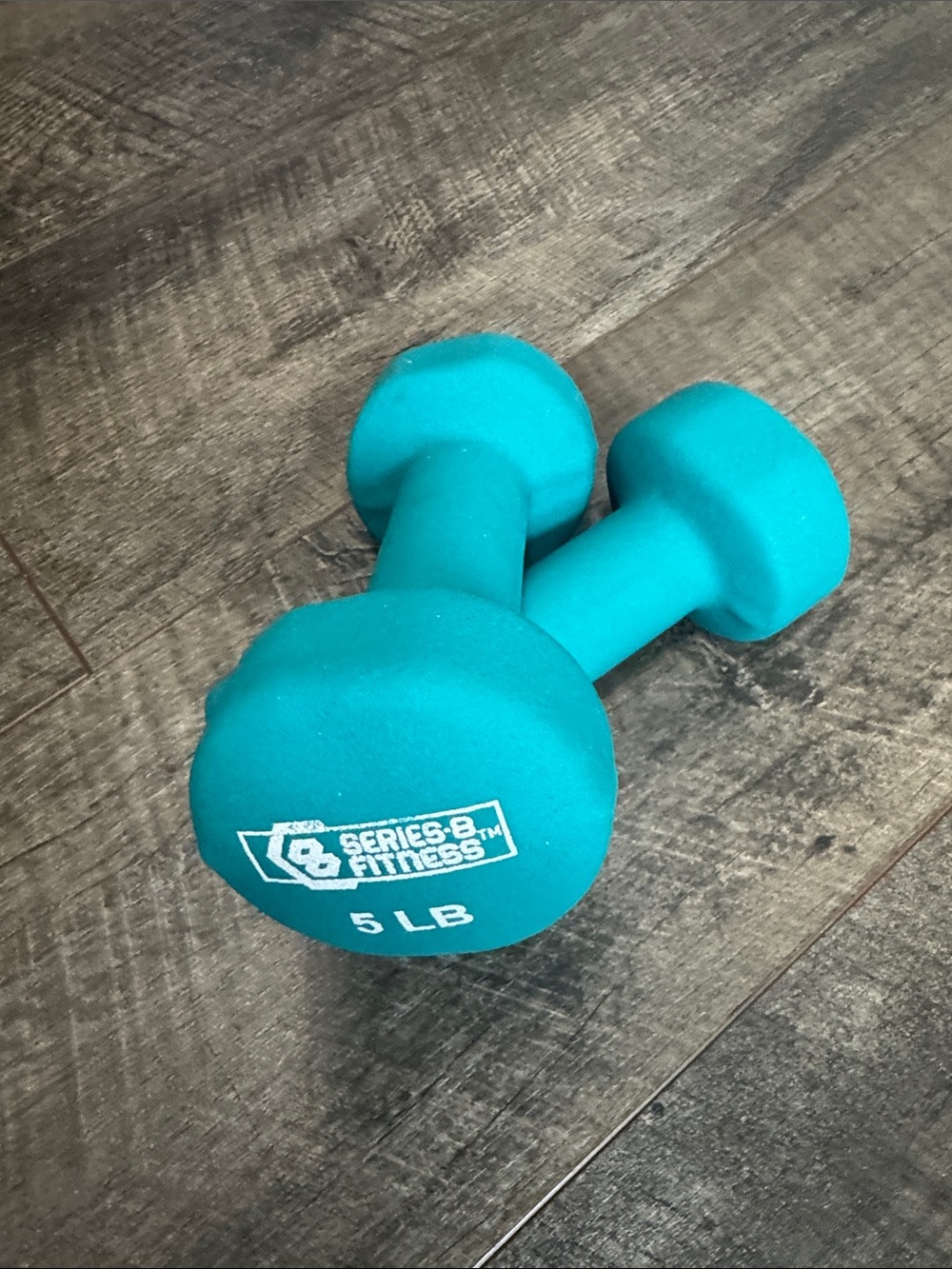 SERIES 8 FITNESS 5LB DUMBBELLS